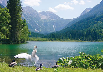 der jägersee in kleinarl